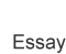 essay